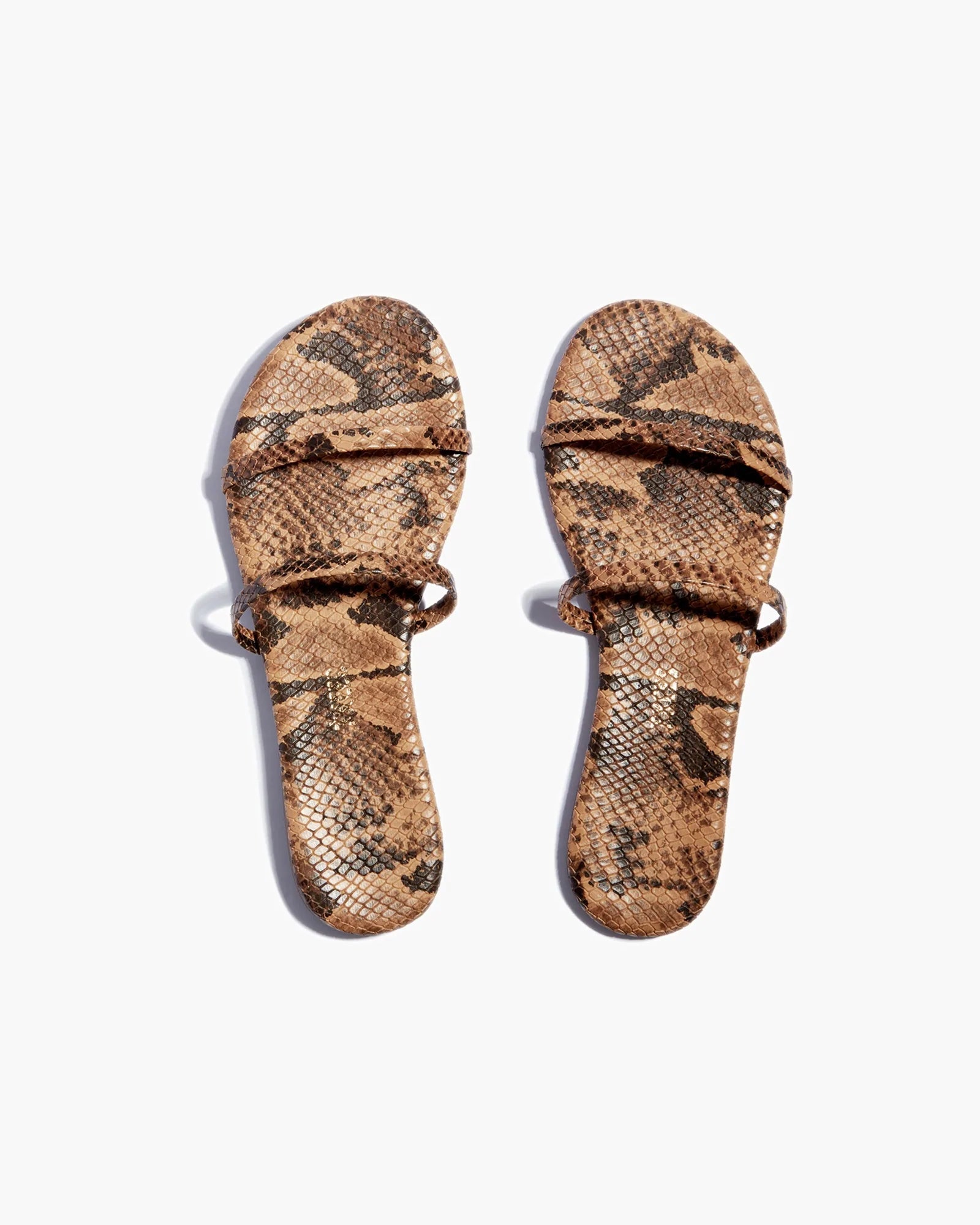 Snake Women\'s TKEES Gemma Vegan Animal Sandals | 342751-AOB